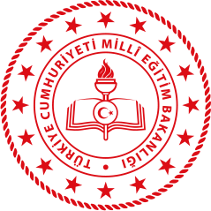 Tayfur Bayar Anadolu Lisesi